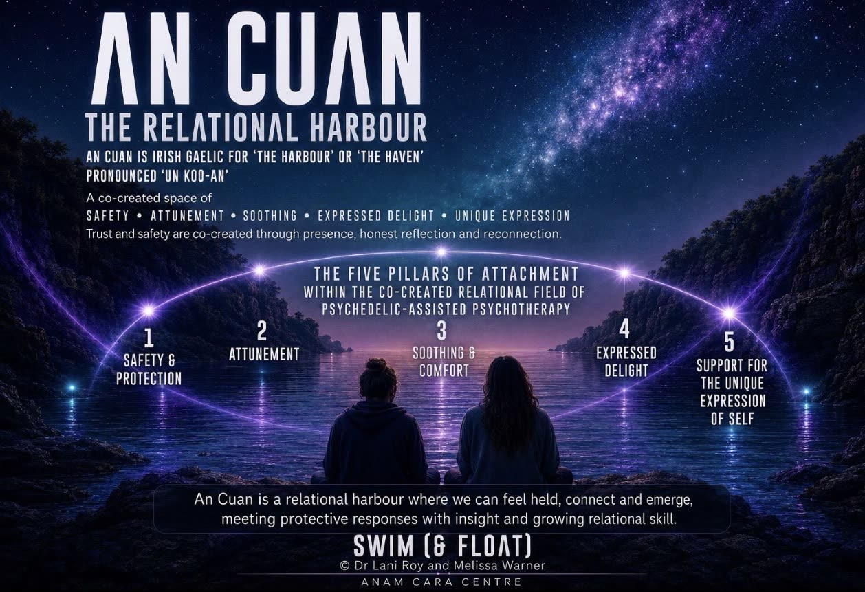 An Cuan, the relational harbour: a sheltered harbour representing the co-created therapeutic field at the heart of EISP