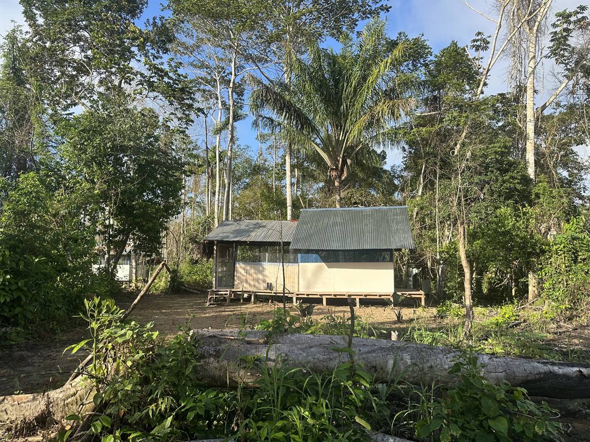 A boat moving along a wide Amazon tributary beneath forested banks